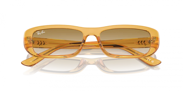 Rayban RB4436D 668213