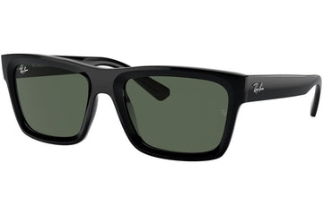 Rayban Warren RB4396 667771