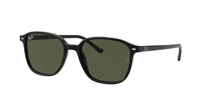Rayban 2193 LEONARD 901/31