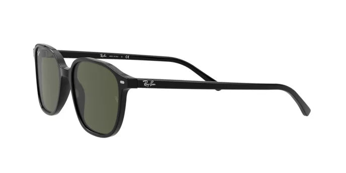 Rayban 2193 LEONARD 901/31